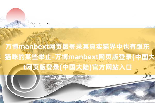 万博manbext网页版登录其真实猫界中也有跟东谈主相同的礼节！猫咪的某些举止-万博manbext网页版登录(中国大陆)官方网站入口