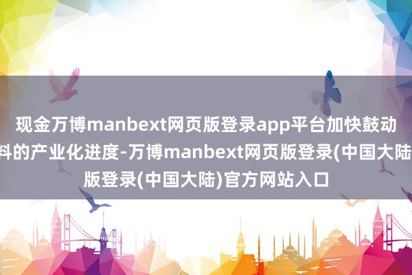 现金万博manbext网页版登录app平台加快鼓动聚酰亚胺新材料的产业化进度-万博manbext网页版登录(中国大陆)官方网站入口